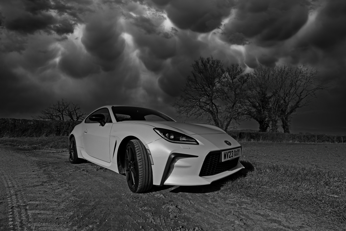 3Q8A3966-photocomp.jpg