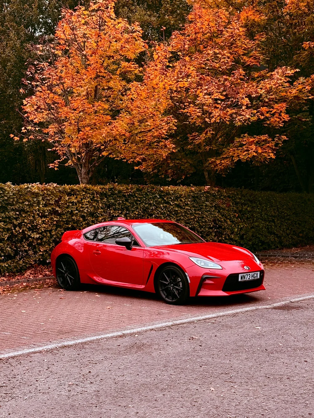 GR86 Autumn.webp