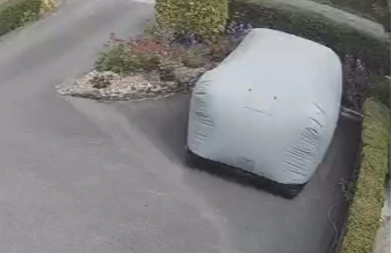 IMG_1705.webp
