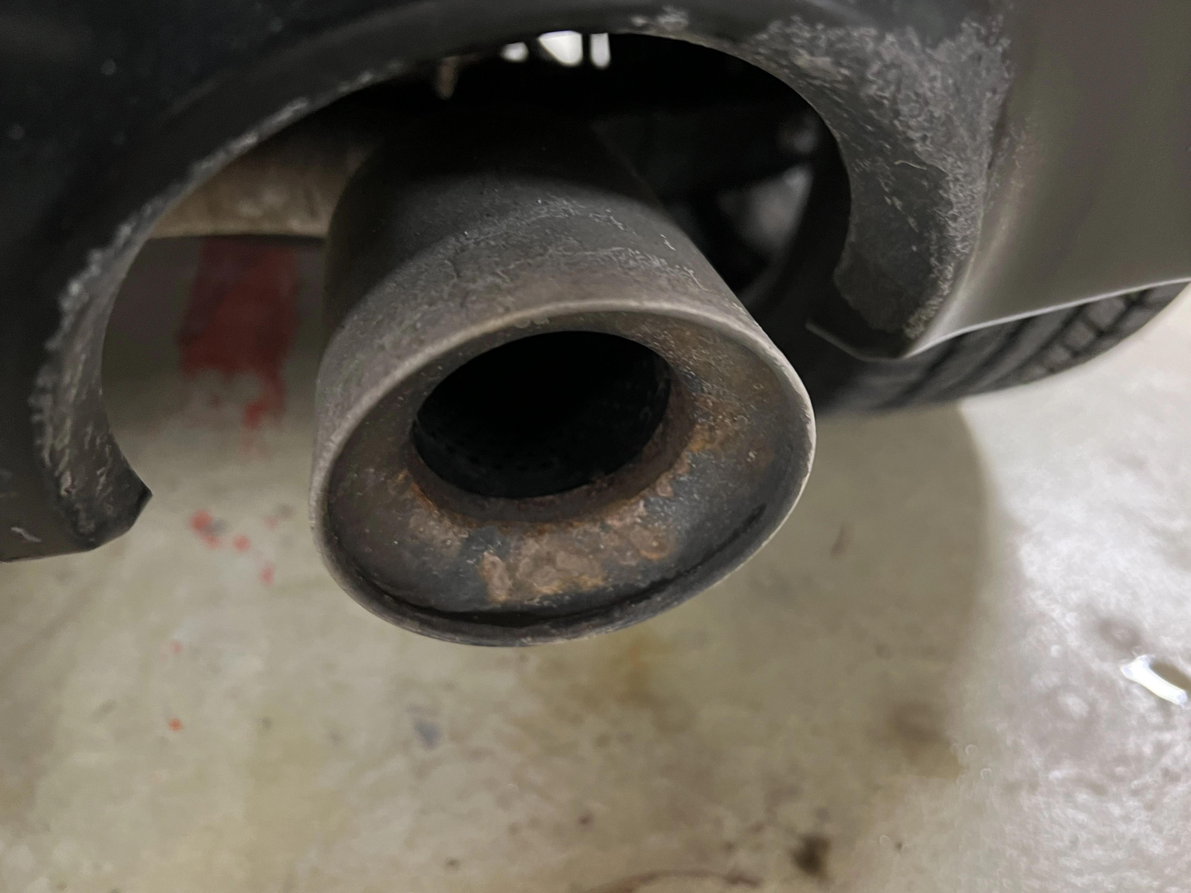 IMG_6777.webp
