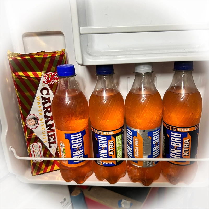 ManFridge.webp