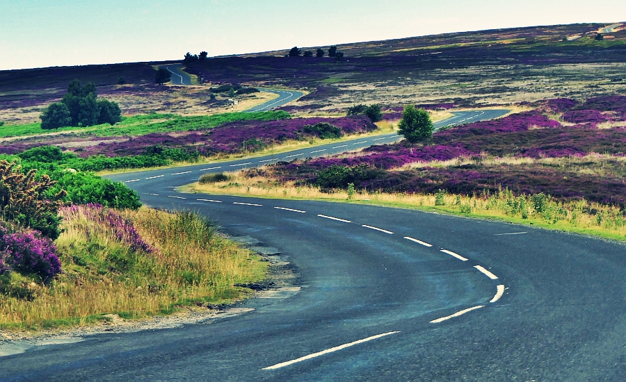 road.webp