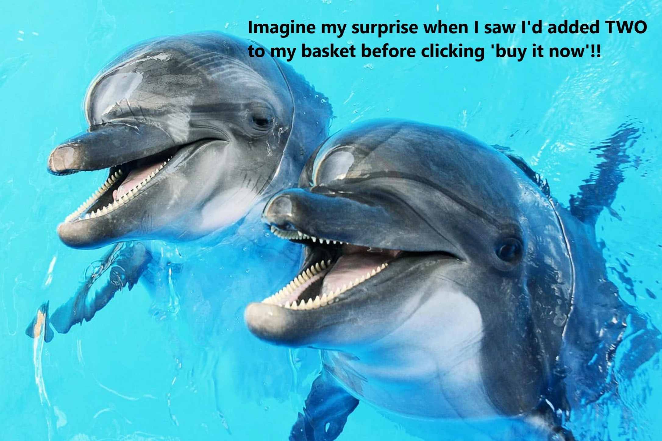 Screenshot 2023-08-30 130039.webp