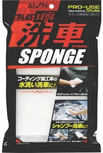 sponge.webp