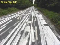 crazy-Road-the-worst-spot-on-fanpop-13832731-432-325.webp