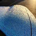 Photo contest thumbnail