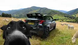 Photo contest thumbnail