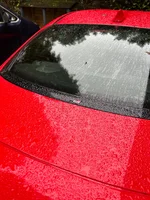 IMG_9216.webp