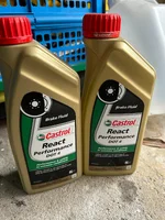 oil.webp