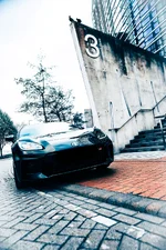 IMGP4397.webp