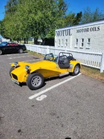 Cat Goodwood.webp